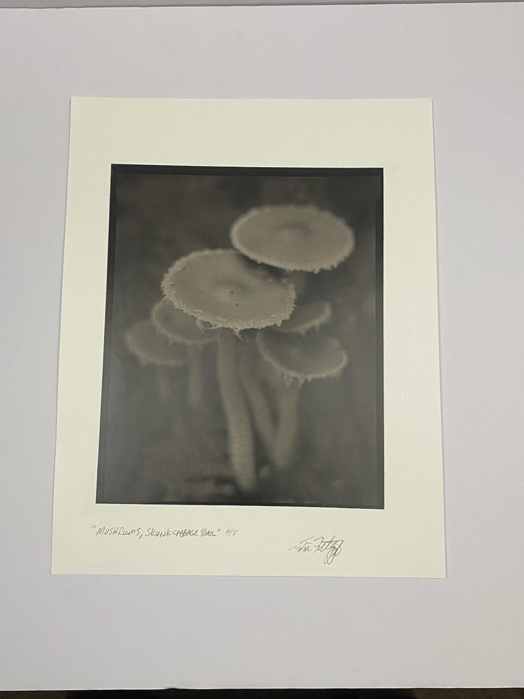 Jim Fitzgerald Mushrooms Skunk Cabbage Trail Signed Photograph Carbon Transfer