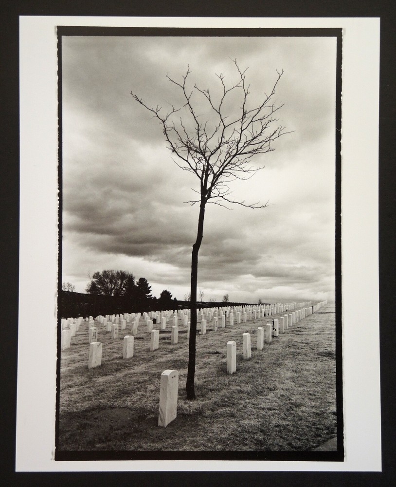 Fine Art Darkroom Print from «Cemetery Tree 2 » Santa Fe, NM