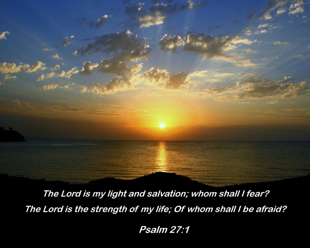 The Lord my light Bible Verse Psalm 27:1 Quote Passage Glossy 8 x 10 Photo #ps2