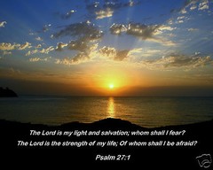 The Lord my light Bible Verse Psalm 27:1 Quote Passage Glossy 8 x 10 Photo #ps2