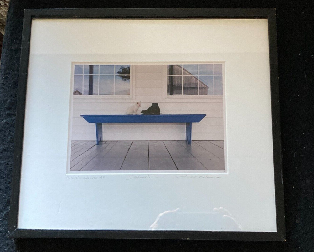 BILL COLEMAN * Detente *Cat and Boot* Signed * Amish #1478 AP *Matted and Framed