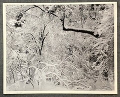 Ansel Adams Fresh Snow, Yosemite Valley, California, Rare Proof, Black and Wh…