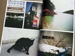 🎈SIGNED! Daido Moriyama – UWAJIMA / cover by Saiko Otake, Limited Ed Super RARE