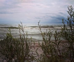 MH Nature & Landscape Photographs – Flowers Trees Water Landscapes 16×20 Canvas.