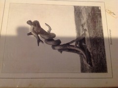 Vtg Antique Africa Photographs Signed J K Nature Leopard Snake Buffalo Swahili 4