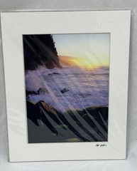 Kilahuea Hawaii Photography Art Photos 2 Scott Hanft Flowers Ocean 11 X 14 2000s