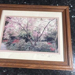 Cherry Blossom Photo Limited Edition # 4/89 Hand Signed Framed 16 1/2”x 13 1/2
