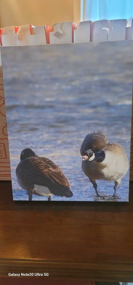 11x14in Canvas Print For Sale