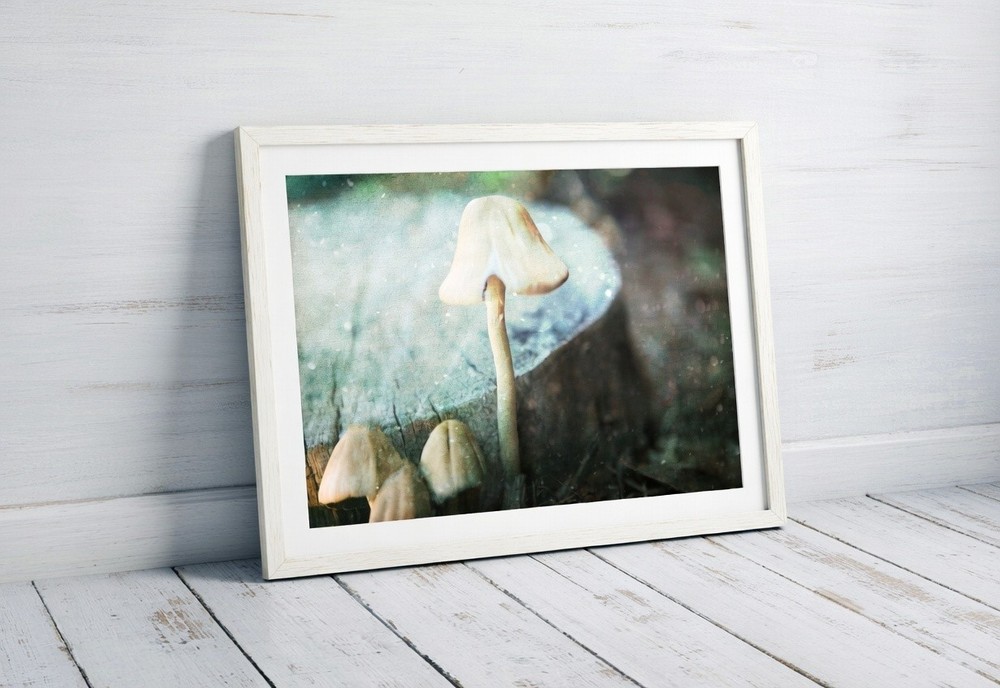 Wild Mushroom Fine Art Wall Print – Botanical Dreamy Home Decor