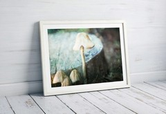 Wild Mushroom Fine Art Wall Print – Botanical Dreamy Home Decor