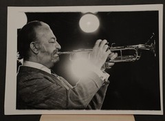 Harry James at the Newport Jazz Festival Press Photo 7×10, b/w 1975