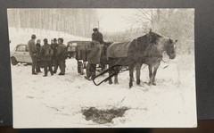 Photo GDR portrait Prenzlau hunting party hunter horse-drawn carriage forest carriage picture