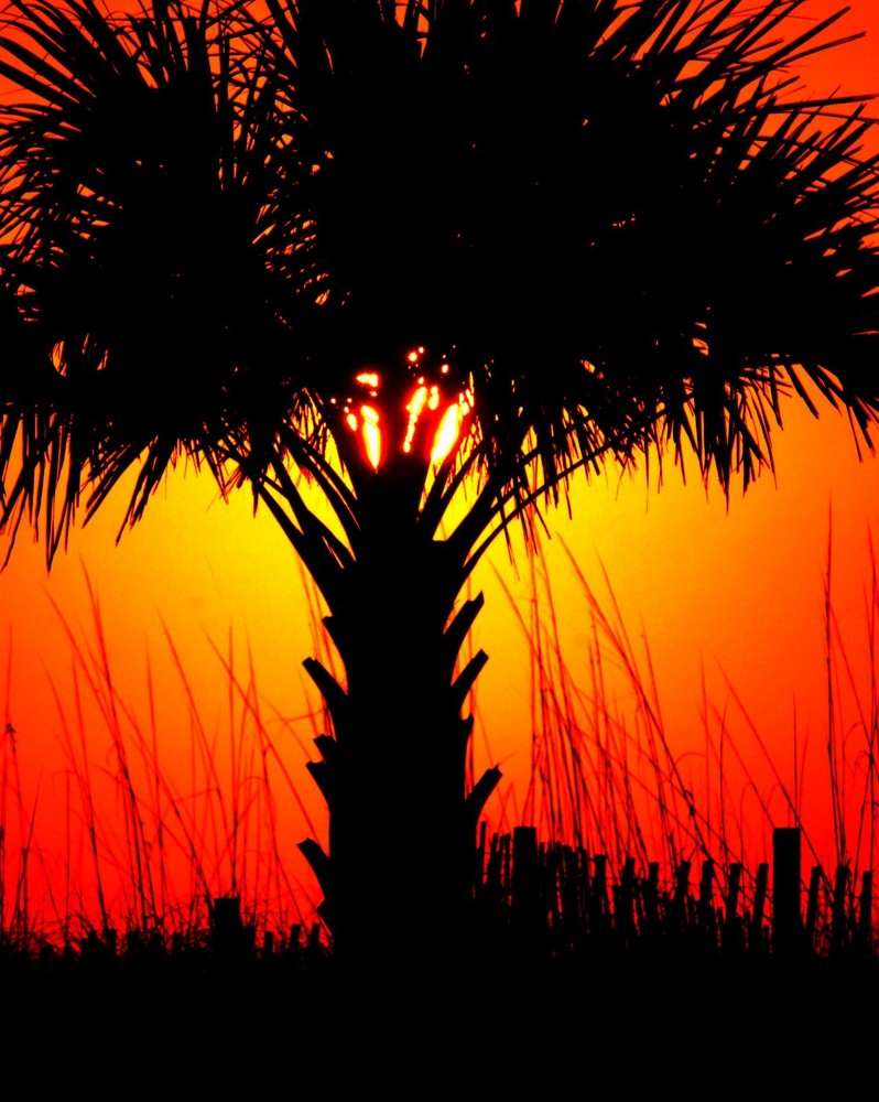 SUNRISE RAYS Original Artwork By: Photos By Tuck : Ken Tucker 16X20 unframed