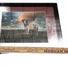 15×13 Framed Art  Enhanced Color Photography  Theme ‘The Cow’  Lightweight Frame