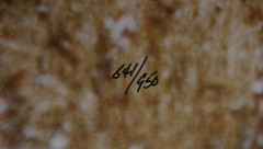 Yellowstone Park Bugling Elk Huge Photo Print #641/950 1984 Thomas Mangelsen