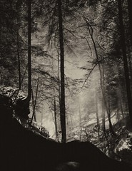 LANDSCAPES 8.5×11 or 13X19 BORDERLESS GLOSSY PRINT (FREE SHIPPING)