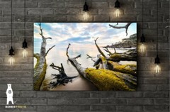 Boneyard Beach, Big Talbot Island, Florida Driftwood Décor, Coastal Photography