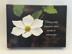 Beautiful Photo Of A Dogwood Blossom, Reminding Us To Be Present Photo On Canvas