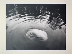 Arno Rafael Minkkinen «Waiting for the Snake» Silver Gelatin Signed Numbered