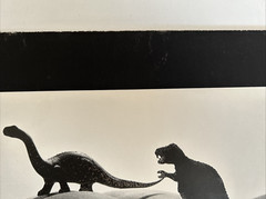 Allan I. Teger Bodyscapes Dinosaurs Photo Rare Limited Signed Numbered Framed