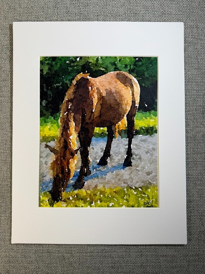 Wild Mustang Digital Watercolor Original Photograph 8 X 10 Mat 11 X 14 – Signed