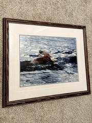 “The Catch- Bald Eagle” signed by tom mangelsen