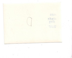 13993- Photo * Vintage, VW Beetle * Picnic 1962