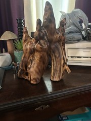 Beautiful Natural Cypress Knee Sculpture