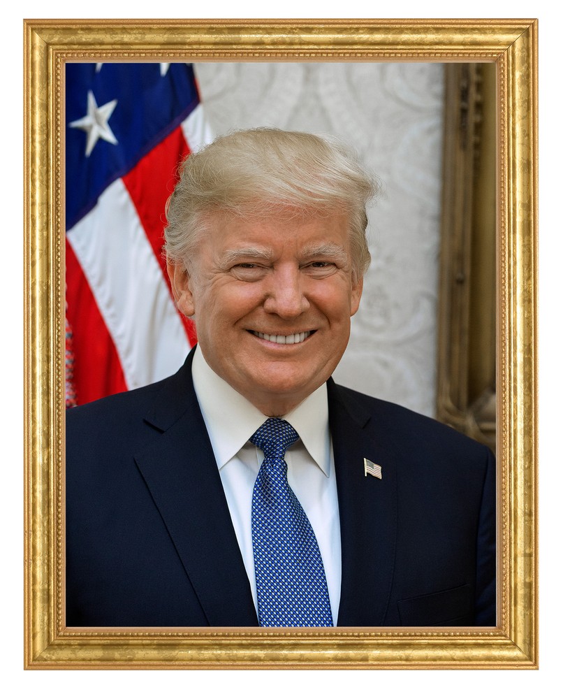 Donald J. Trump Photograph in a Aged Gold Frame