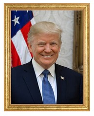 Donald J. Trump Photograph in a Aged Gold Frame