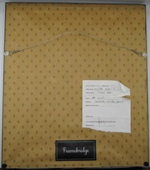 Signed Martha Madigan Lihue Fern photograph botanical photogram 16×19” framed