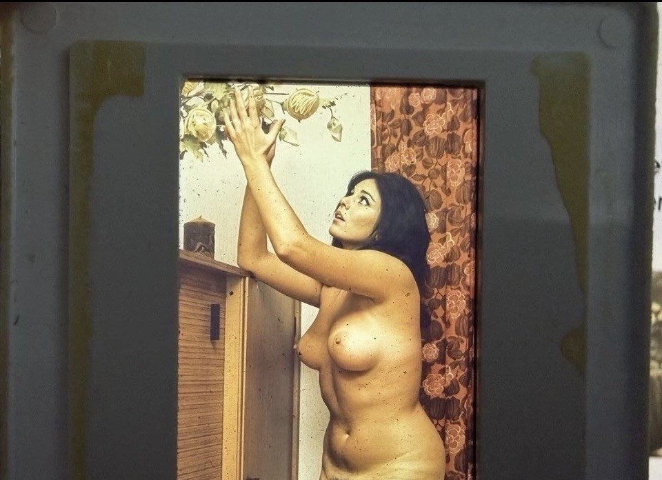 Vintage Slide Nature Woman Art Beautiful Woman/