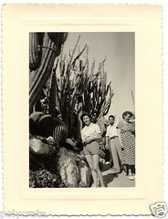 Young Woman Monaco Garden Exotic Plants – Old Analogue Photograph An.1950