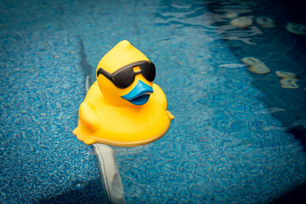 Dave Thompson Fine Art Print – Rubber Ducky