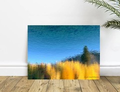 Water Blue Yellow Gold Autumn Fall Tree Reflection Abstract Art Photograph Print