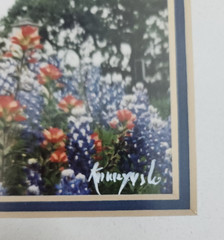 Vintage Richard Korczynski Texas Flag & Bluebonnet Original Photo Collage