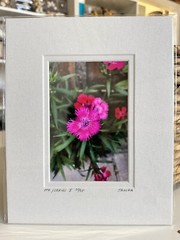 Original Photography 5X7 Picture Double Matted For 8X10 Frame