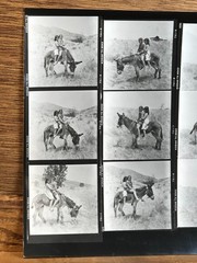 NEWLY FOUND! Hendrickson PHOTO Contact Sheet Proof & Negatives GIRLS RIDE DONKEY