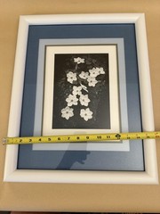 ANSEL ADAMS Dogwood Yosemite Special Edition Gelatin Silver Print Matted Only