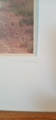 bill coleman amish Art
