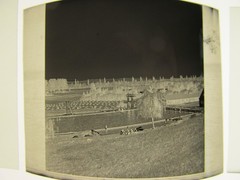 Hamburg? Free Swimming Pool Tower Jumping 16 x Genuine historical negatives