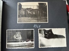 Old Photo Album Civilian with Flaws, Life in the GDR, /123