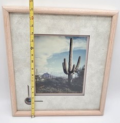 John F. Berend Signed Desert Saguaro Photograph Framed Southwest Art 16×17”