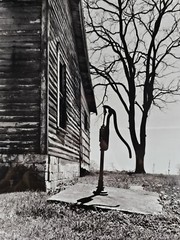 Original Signed John Bower 35mm Fine Art B&W Photograph 20×16 Framed Midwest Art