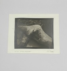 Jim Fitzgerald Driftwood Oregon Coast Signed Photograph Carbon Transfer
