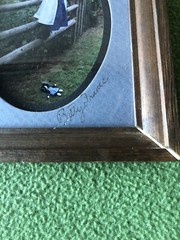 Betty France – Photography of Amish Children, 5 up in collage frame
