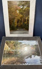 Michael Descher Wall Art 10×8 Lot Of 2 Trees