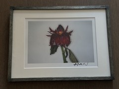 🎈RARE SIGNED Nobuyoshi Araki – Painting Flower, Original, Limited Ed Print 2004