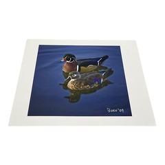 Pair Of Woodies Wood Ducks Print By Bob Kulon Photo Authentic COA 2009 8.5”x 11”