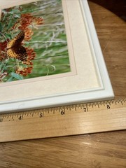 Lot of 3 Photo Monarch Butterfly 5×7 Art Photography Matted Plastic Framed 10×8”